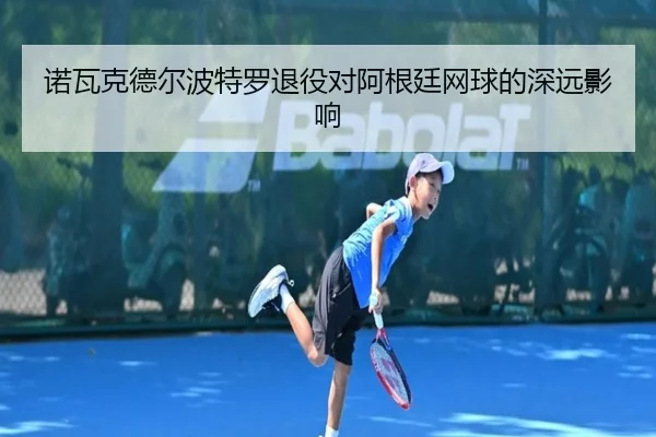 诺瓦克德尔波特罗退役对阿根廷网球的深远影响